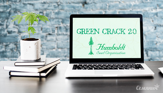 Гроурепорт сорта Green Crack 2.0 fem от Humboldt Seeds