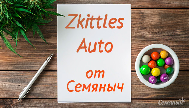 Гроурепорт сорта Zkittlez Auto
