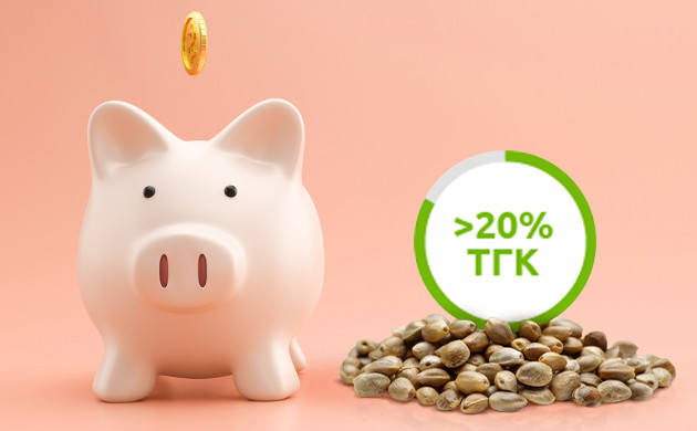 Больше 20 ТГК